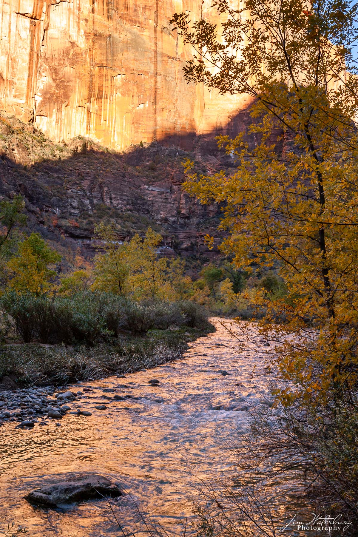 Reflected Light Zion National Park Utah Jim Waterbury Photography